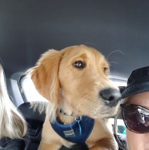 Meet your Posher, Jo